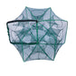 🚨 🚨 Automatic folding net for anglers – reinforced nylon fishing net, landing net with telescopic handle 🎣✨