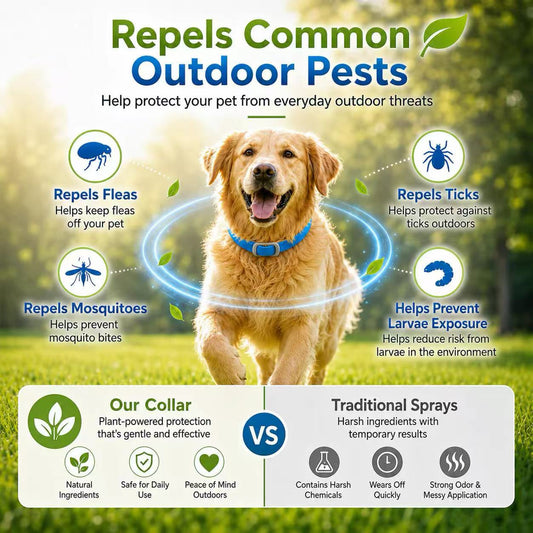 🌿 Skip the Chemicals! ✨ Natural Essential Oil Flea Collar – Repels Bugs. 🐶