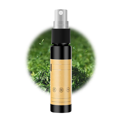 Long Lasting Deodorizing Car Air Freshener Spray