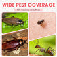 🔥2025 Hot Sale |  Indoor Fipronil Pest Control Spray