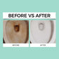 Germ-Killing & Deodorizing Toilet Bowl Cleaner