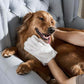 ⚠️ Stop masking pet smells with air fresheners! These  mitts neutralize odor at the source. Fresh home! 🏠✨