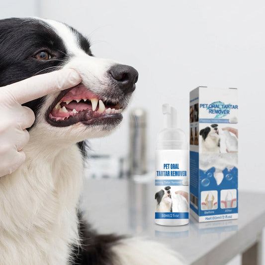📢📢50% OFF !! ⏰Pet Oral Care Foaming Tartar Remover