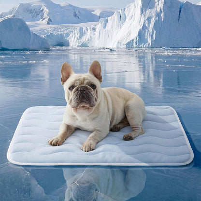 ⚠️ Is your fur baby overheating? This cooling mat saves overheating pets. Instant chill, zero stress! 🐶❄️