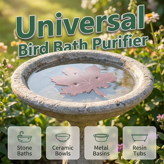 ☀️ Stop changing dirty bird bath water! One tablet = 30 days of freshness. Spend less time cleaning, more time enjoying nature. 🐦