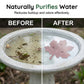 ☀️ Stop changing dirty bird bath water! One tablet = 30 days of freshness. Spend less time cleaning, more time enjoying nature. 🐦