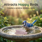 ☀️ Stop changing dirty bird bath water! One tablet = 30 days of freshness. Spend less time cleaning, more time enjoying nature. 🐦