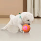 🐶 Never Stops Bouncing! ✨ Auto-Bounce Smart Pet Ball – Hours of Solo Play. ⚡