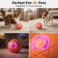 🐶 Never Stops Bouncing! ✨ Auto-Bounce Smart Pet Ball – Hours of Solo Play. ⚡