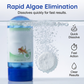 🌿 Removes Existing Algae & Controls New Growth! Aquarium Algae Remover Tablets – Crystal Clear Water ✨