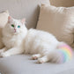 🔥Hot Sale 50% OFF🔥 Non-Toxic Pet Hair Color Dye – Temporary, Washable, 12 Colors, for Dogs & Cats 🐶