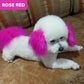 🔥Hot Sale 50% OFF🔥 Non-Toxic Pet Hair Color Dye – Temporary, Washable, 12 Colors, for Dogs & Cats 🐶