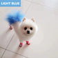 🔥Hot Sale 50% OFF🔥 Non-Toxic Pet Hair Color Dye – Temporary, Washable, 12 Colors, for Dogs & Cats 🐶